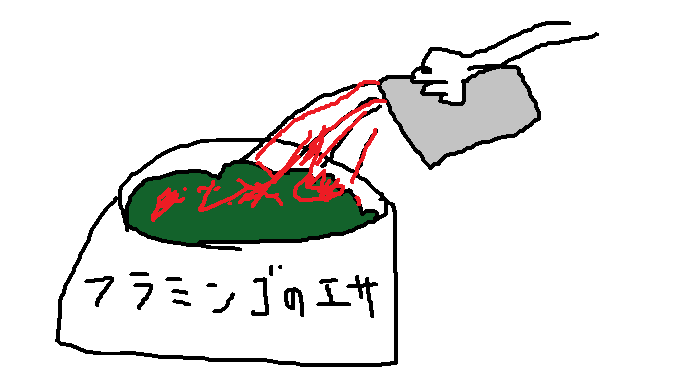 フラミンゴのえさ