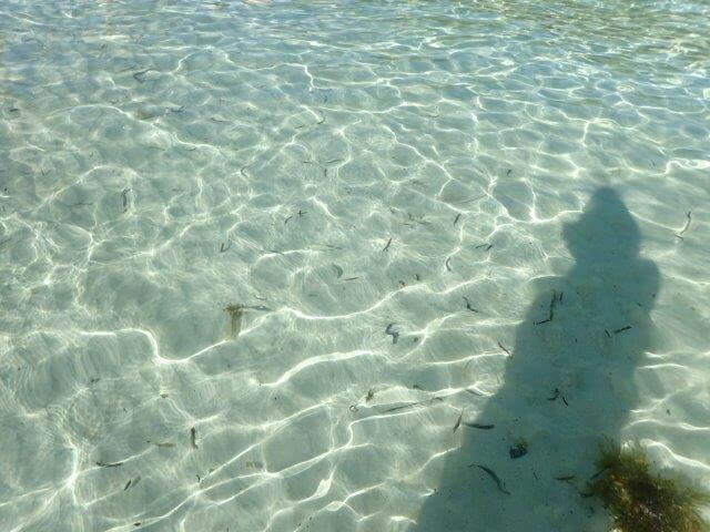 透明な海