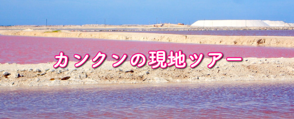 カンクンの現地ツアー情報