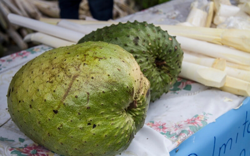 guanabana グァナバナ GUANABANA グアナバナ 手編み バッグ ロンハーマン - メルカリ