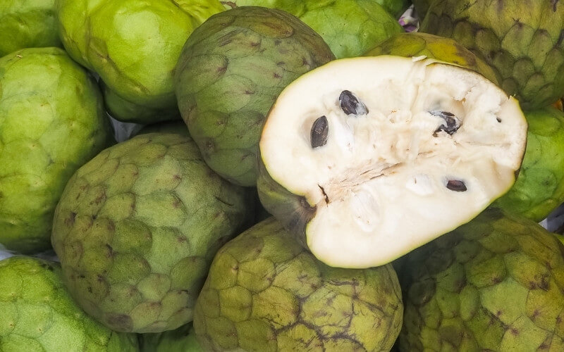 南国果物グアナバナ（グラビオラ）とは？【美味しいけど副作用に